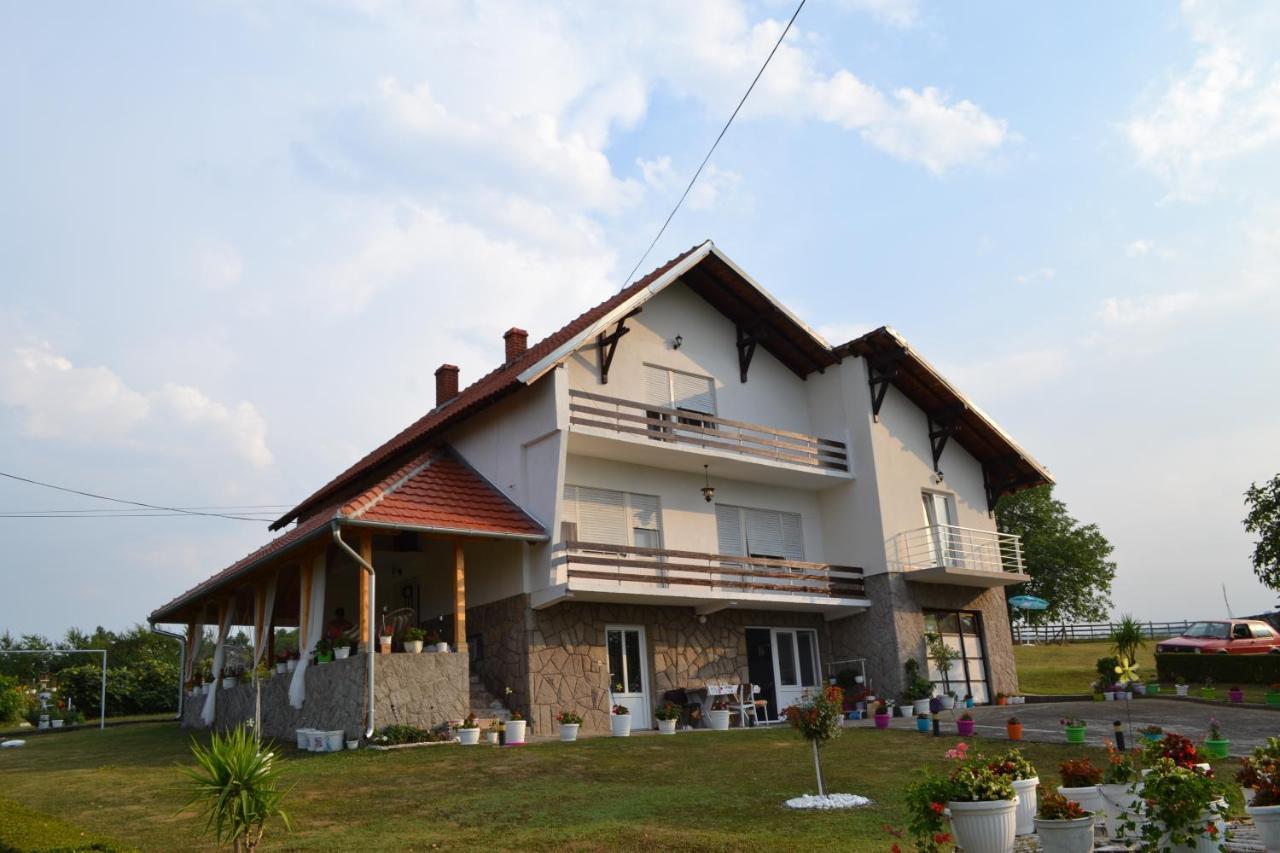 Odmor Na Selu Babajic Apartment Ljig Bagian luar foto