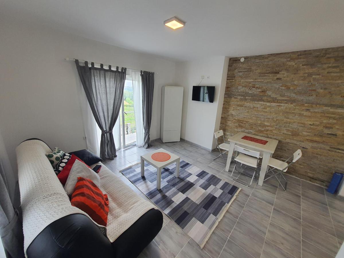 Odmor Na Selu Babajic Apartment Ljig Bagian luar foto