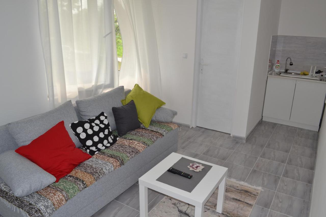 Odmor Na Selu Babajic Apartment Ljig Bagian luar foto